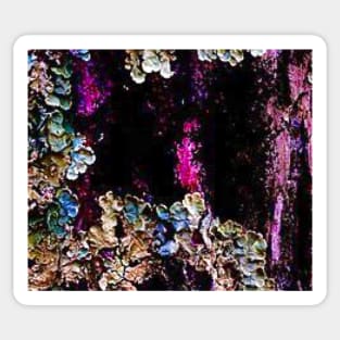 Magnificent tree lichen Sticker